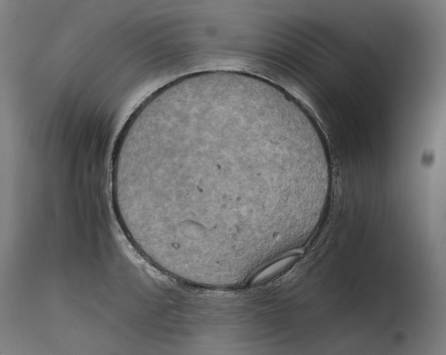 X0000114391088200911131337