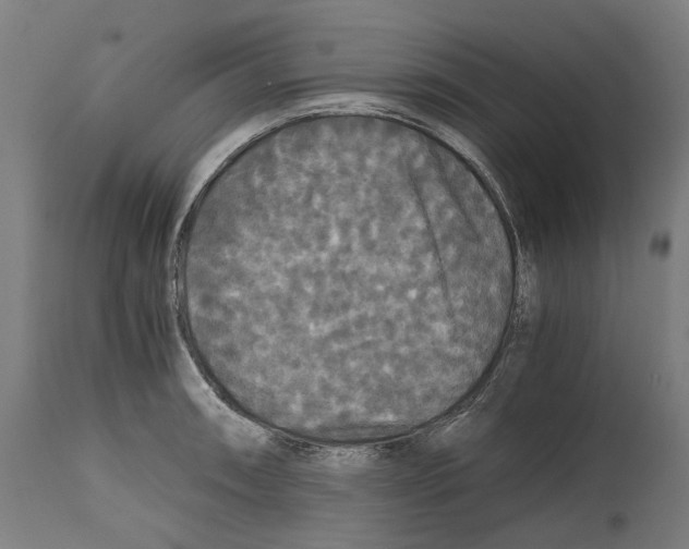 X0000114391090200911131337