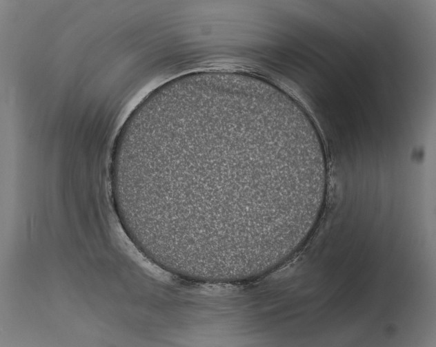 X0000114391091200911131337