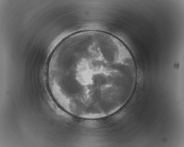 X0000114391094200911131337