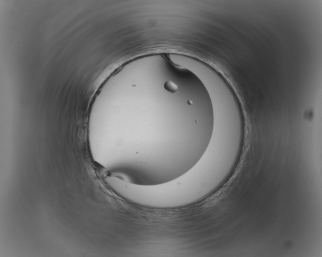 X0000114391097200911131337