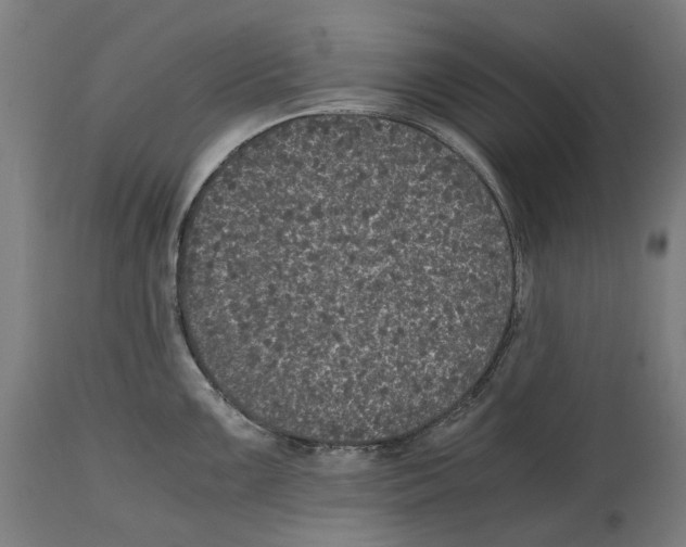 X0000114391099200911131337