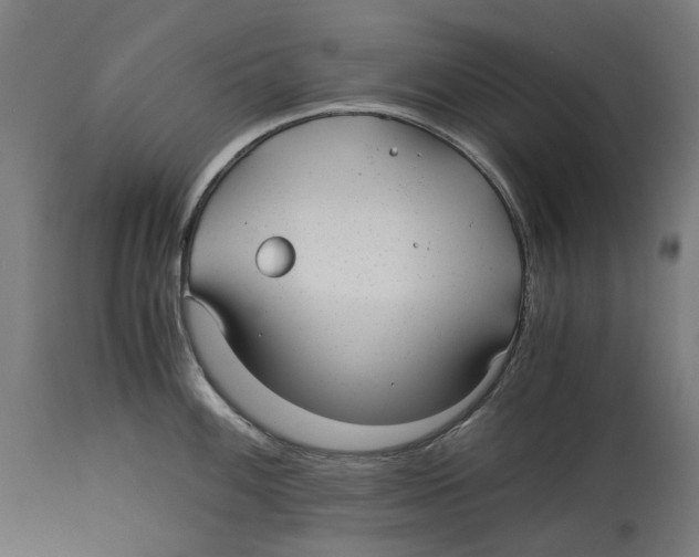 X0000114391100200911131337