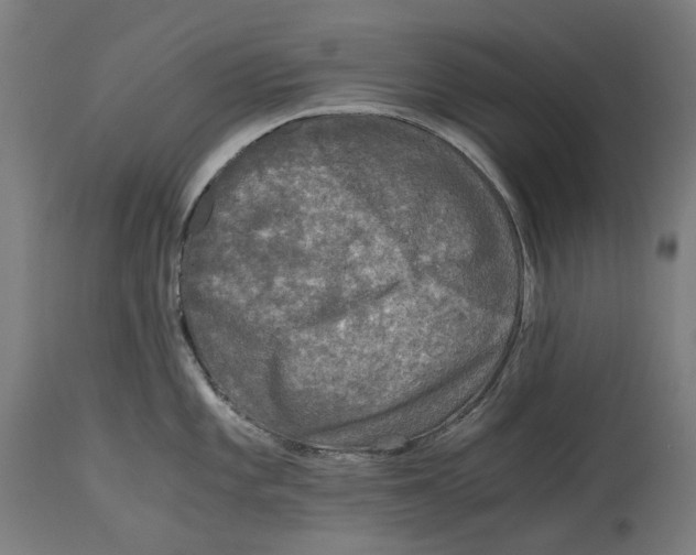 X0000114391101200911131337