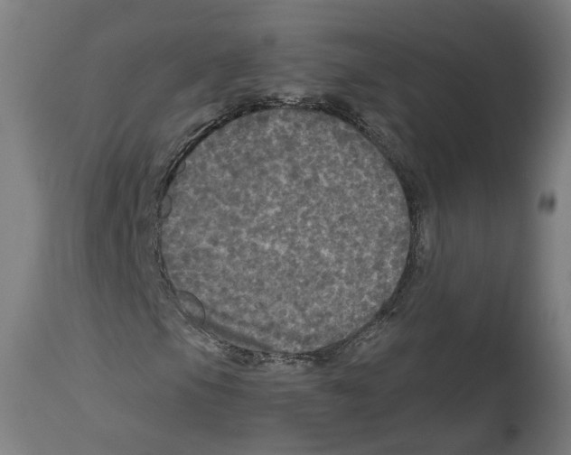 X0000114391105200911131336