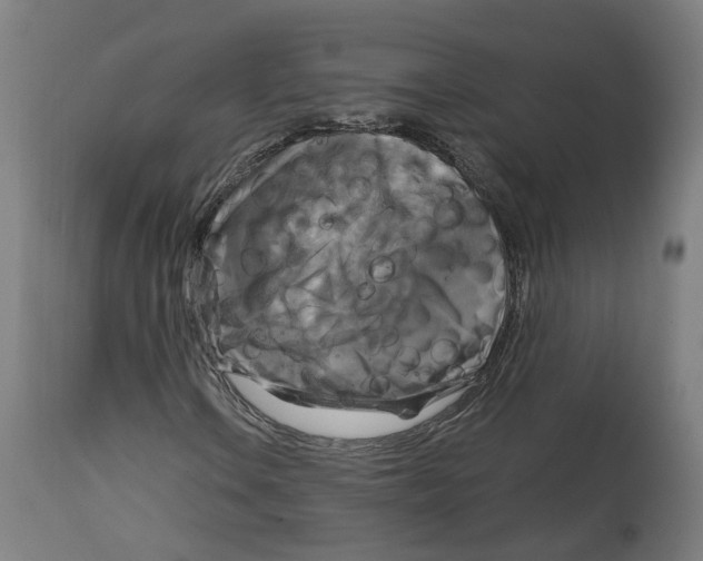 X0000114391106200911131336