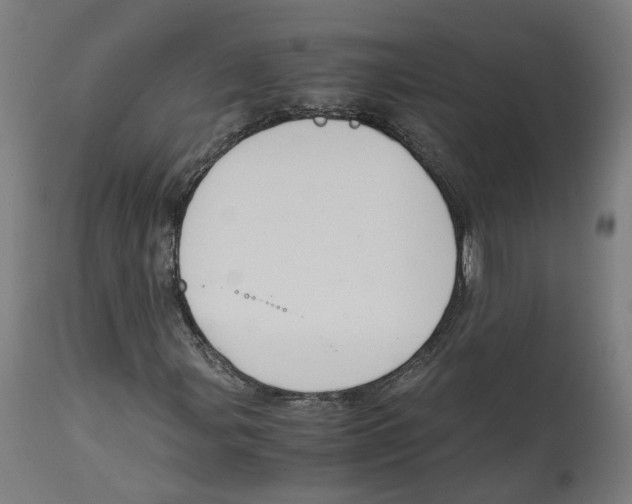 X0000114391107200911131336