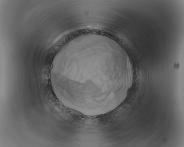 X0000114391110200911131336