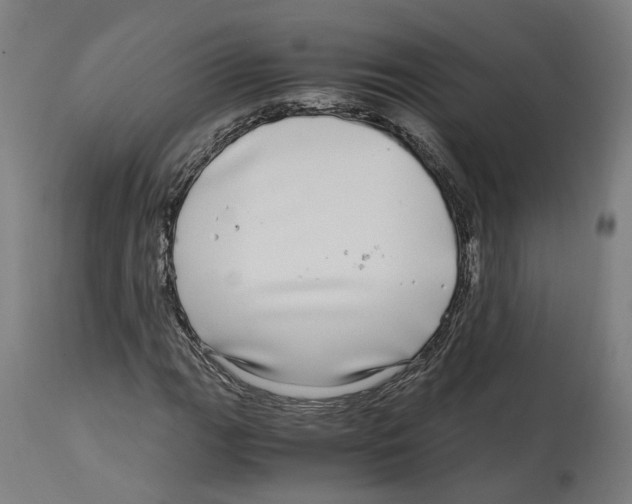 X0000114391111200911131336