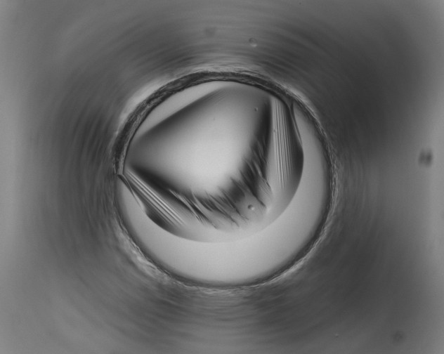 X0000114391114200911131336