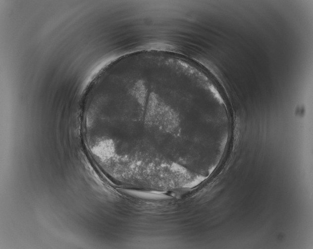 X0000114391115200911131336