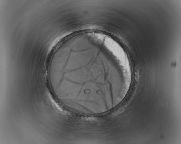 X0000114391117200911131337