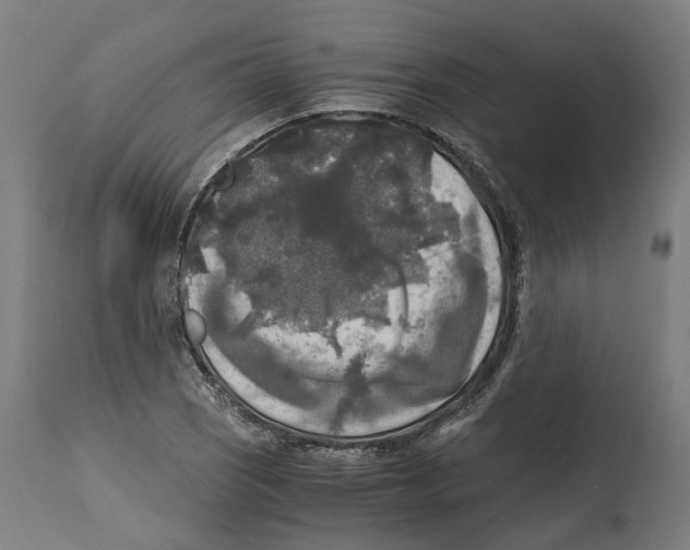 X0000114391121200911131337