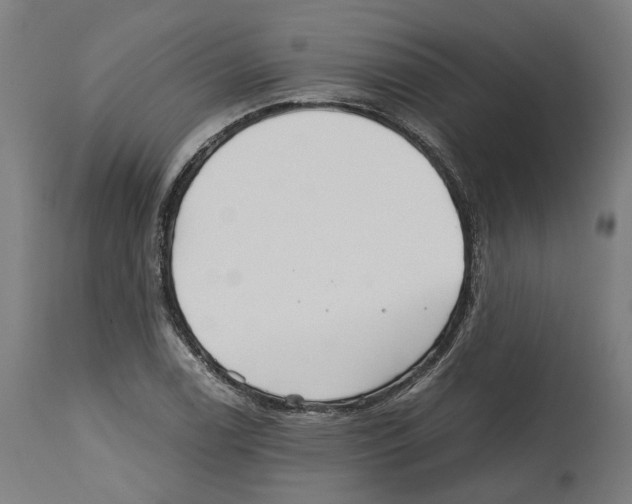 X0000114391122200911131337