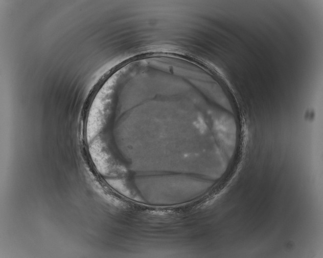 X0000114391125200911131337