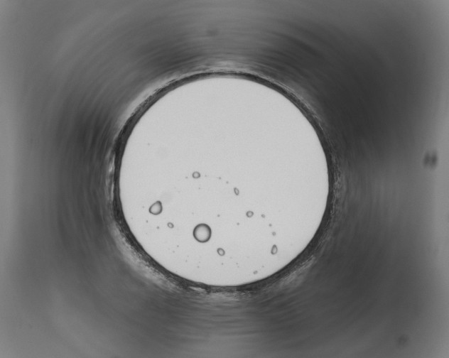 X0000114391126200911131337