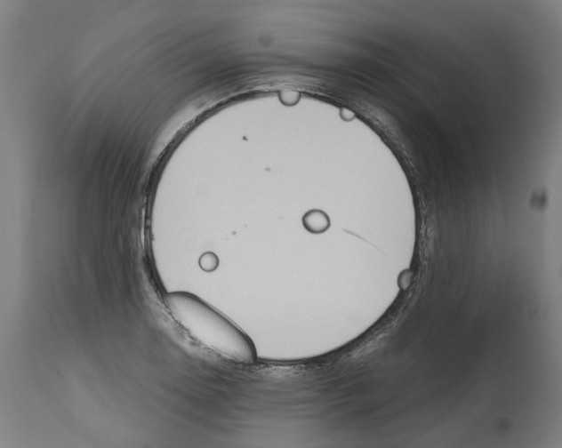 X0000114391130200911131337