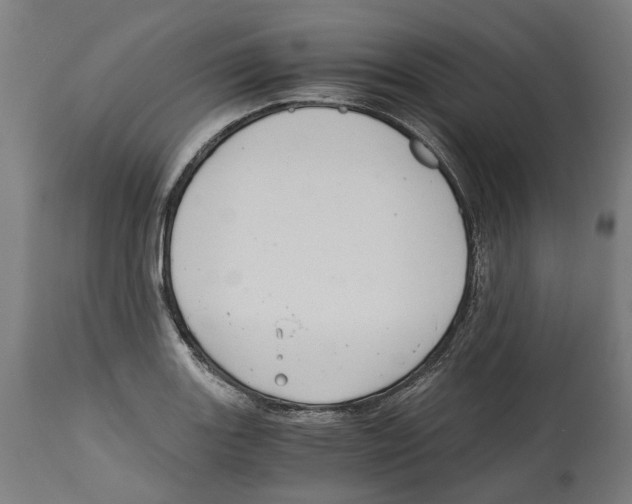 X0000114391131200911131337