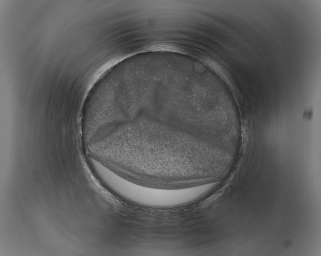 X0000114391133200911131337