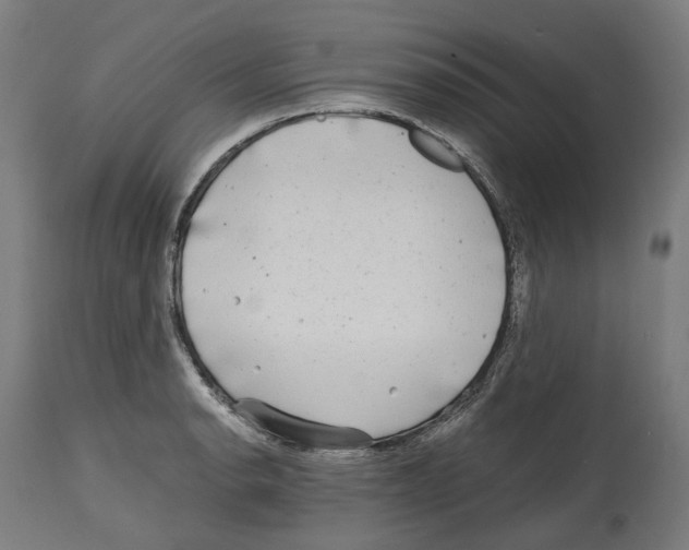 X0000114391134200911131337