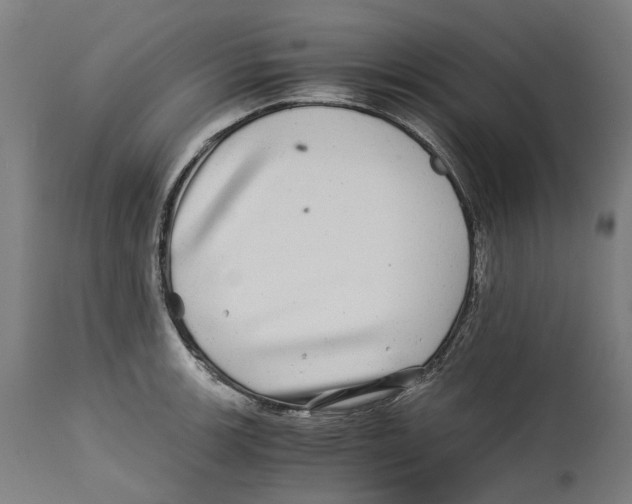 X0000114391139200911131337