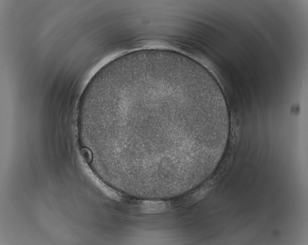 X0000114391142200911131337