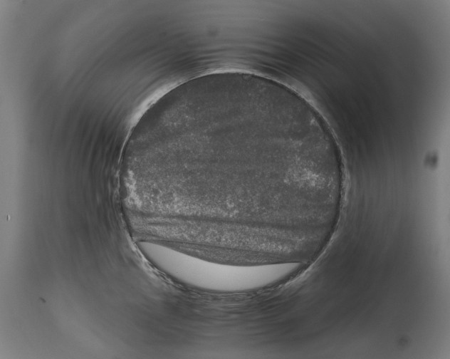 X0000114391145200911131337