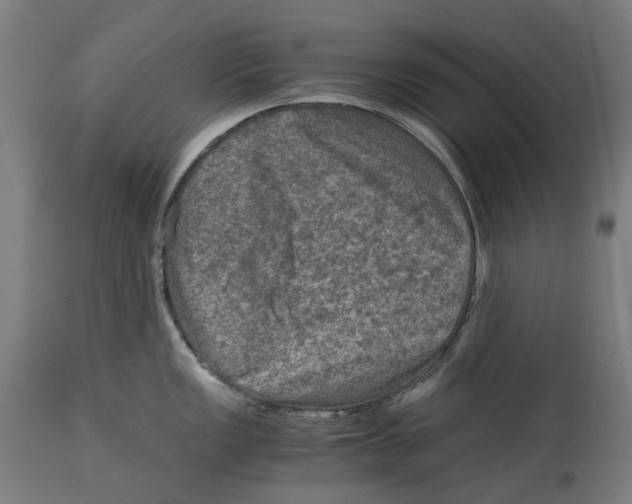 X0000114391149200911131337