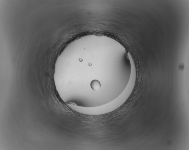 X0000114391153200911131336
