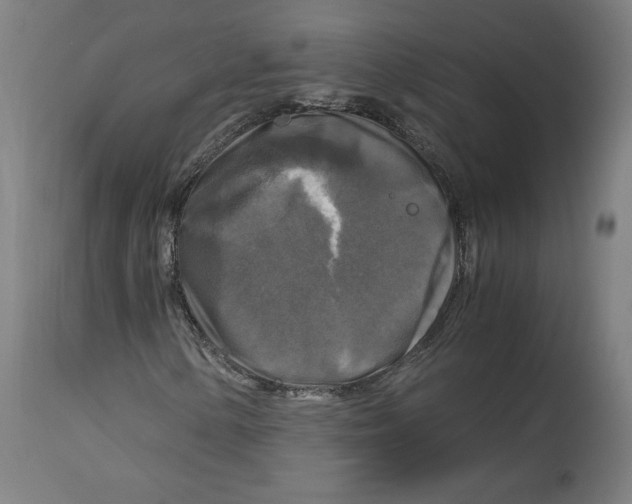 X0000114391154200911131336