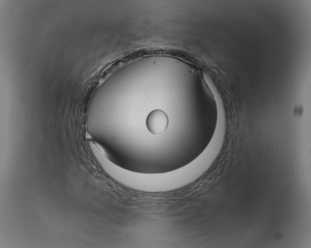 X0000114391157200911131336