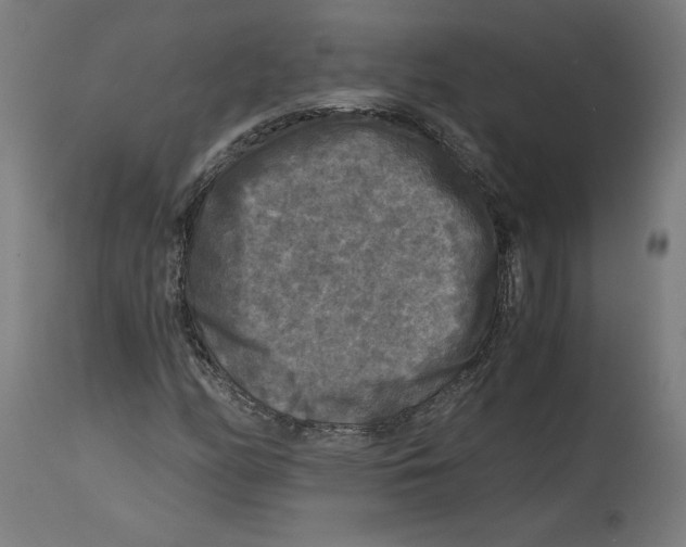 X0000114391158200911131336
