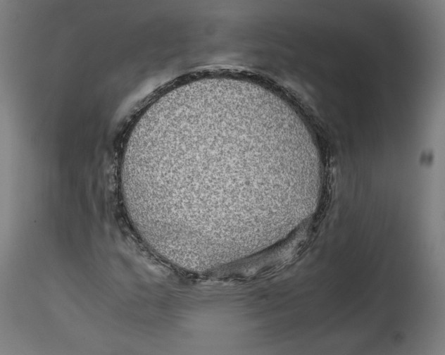 X0000114391159200911131336