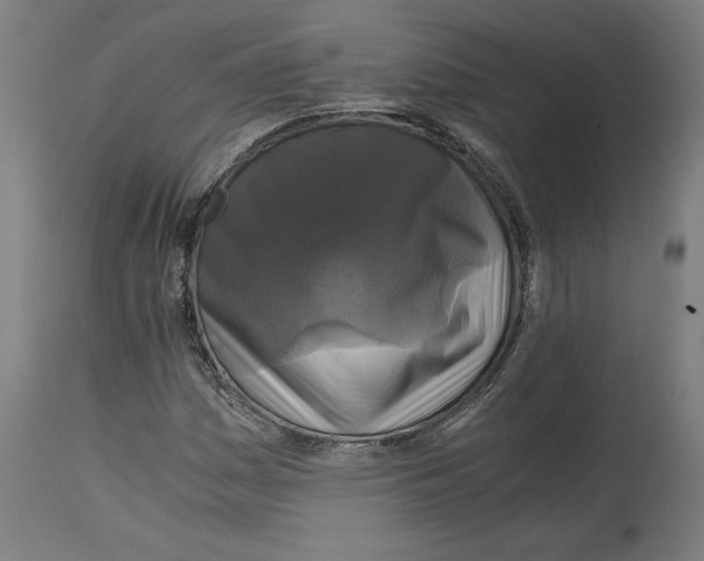 X0000114391161200911131336