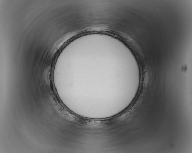 X0000114391162200911131336