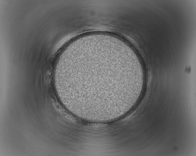 X0000114391163200911131336