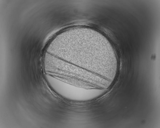 X0000114391164200911131336