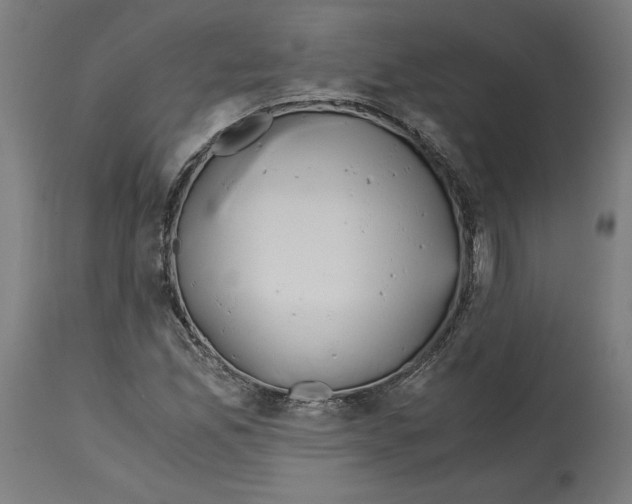X0000114391165200911131336