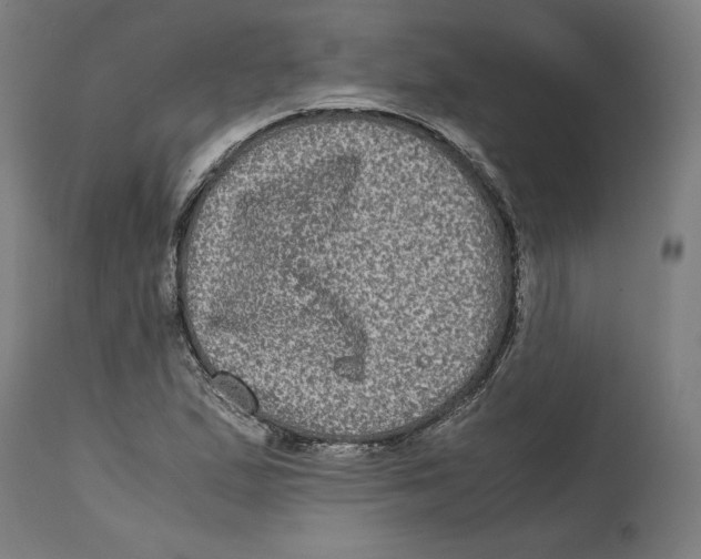 X0000114391167200911131336