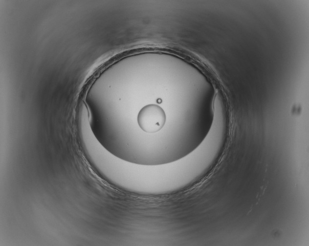 X0000114391168200911131336