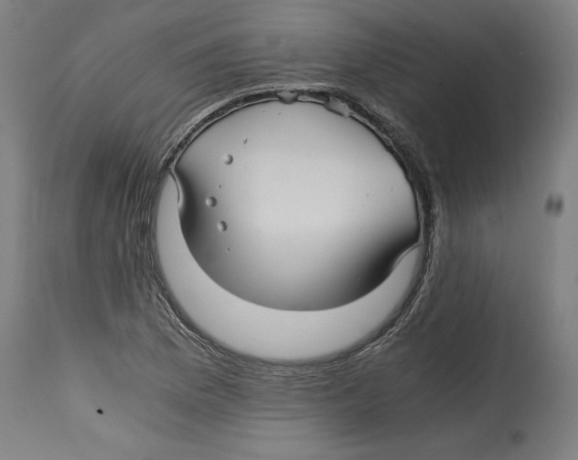 X0000114391169200911131336