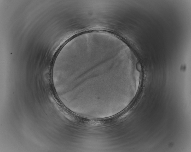 X0000114391170200911131336