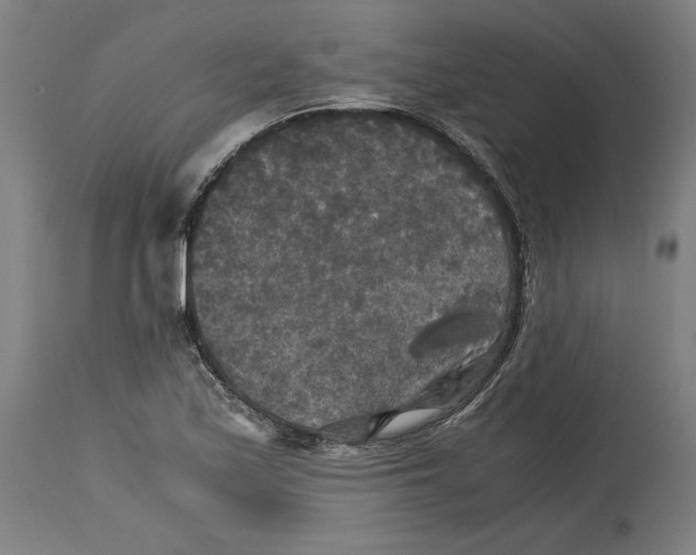 X0000114391171200911131336