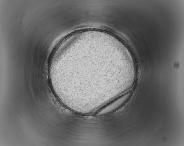 X0000114391172200911131336