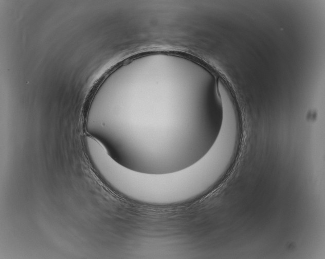 X0000114391173200911131336