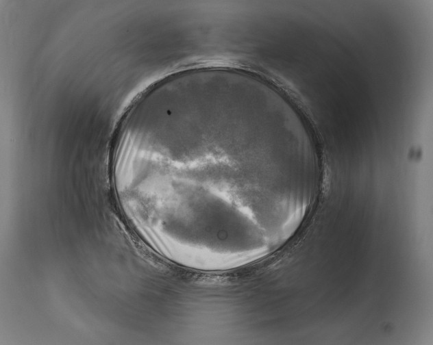 X0000114391174200911131336