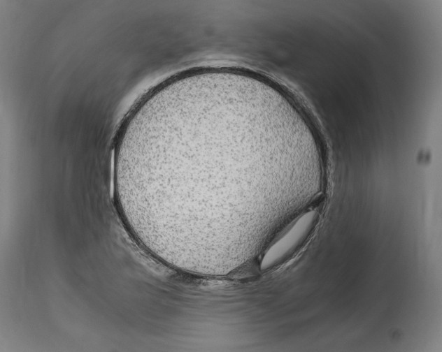 X0000114391175200911131336