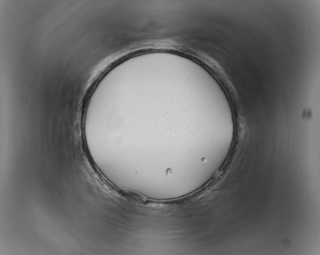 X0000114391176200911131336