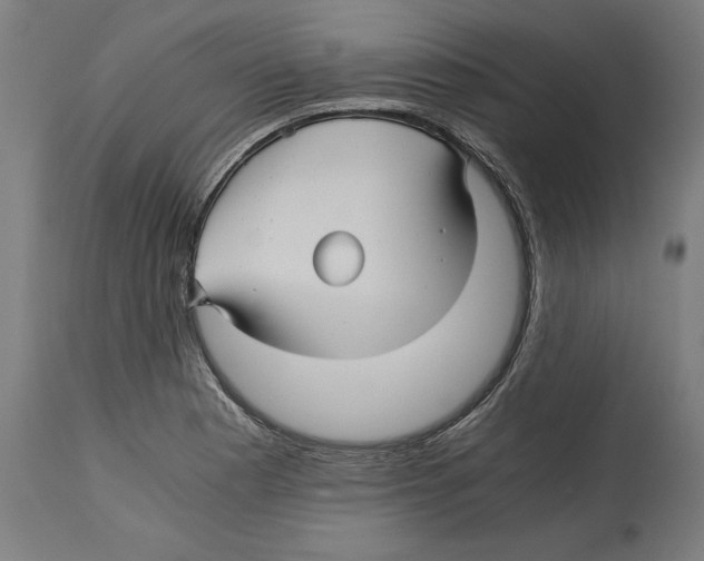 X0000114391177200911131336
