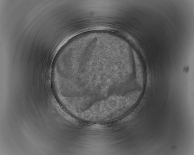 X0000114391178200911131336